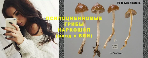 амф Алексеевка