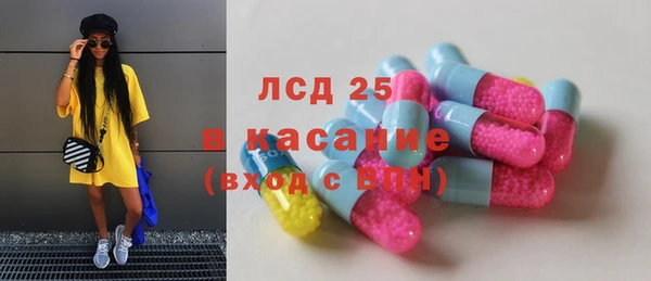 прущие грибы Абаза